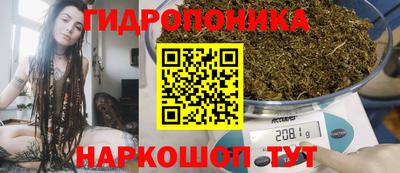 гидра Краснокаменск