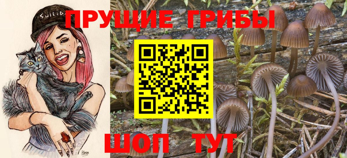 Псилоцибиновые грибы Magic Shrooms  Вход с VPN  Еманжелинск 